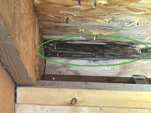 Moisture Intrusion Seen from Attic
